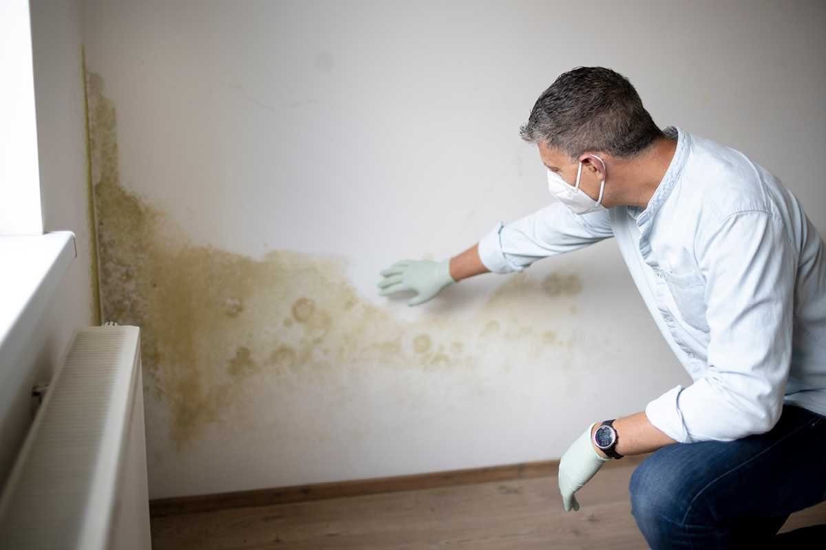 Keeping Damp And Mould Away