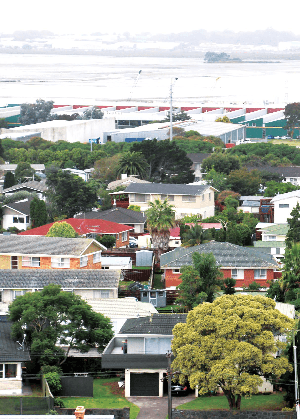 South Auckland Growth Imminent